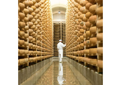 Comté maturato per 24 mesi da Marcel PETITE