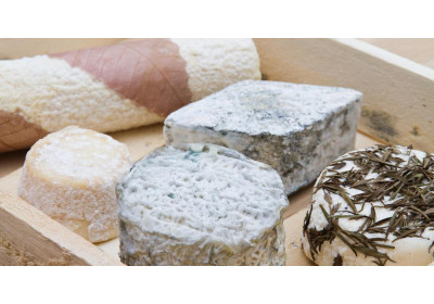 Formaggi per diventare capra!
