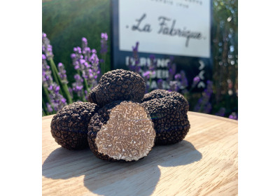 Tartufo estivo Tartufo di Saint-Jean o tartufo bianco estivo