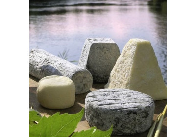 ?? 5 bonnes raisons de manger du fromage de chèvre !