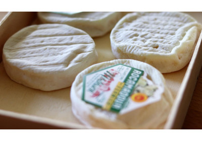 Autunno: la stagione ideale per gustare formaggi dal carattere deciso!