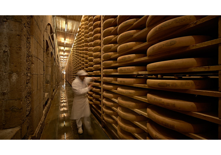 Comté AOP à l'affinage long ou court, comment choisir