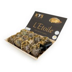 Oyster N°3 Stella Super Speciale