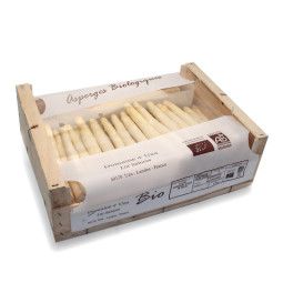 Asparagi bianchi delle Landes biologici - Domaine d'Uza