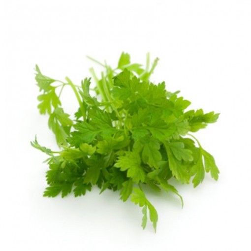 Cerfeuil - 25g - JARDIN DE TOURY