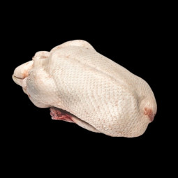 Bobina Origine Francia ± 1,6 kg