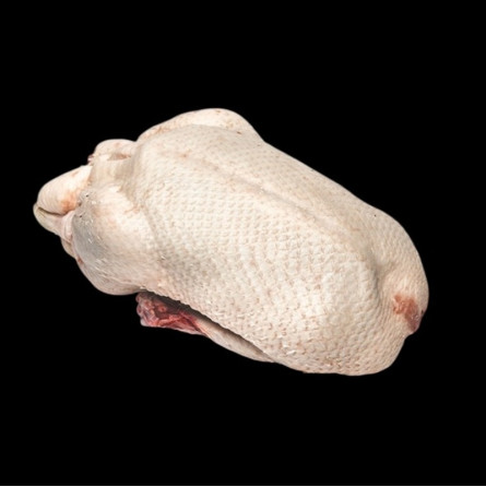 Bobina origine Francia ± 1,6 kg Pollame da CHALLANS - 1