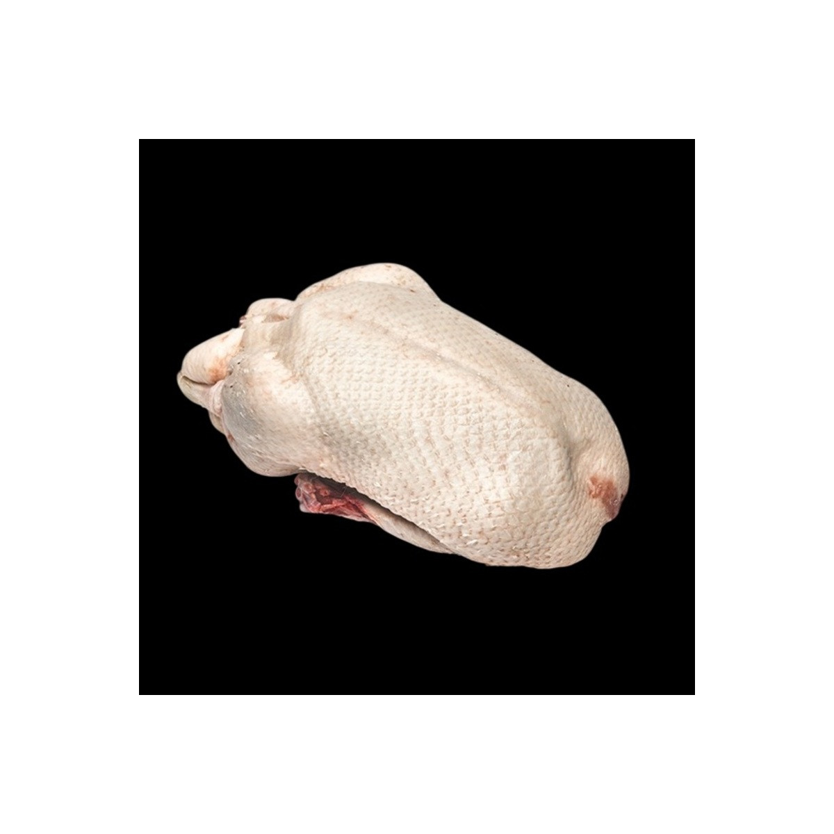 Bobina Origine Francia ± 1,6 kg