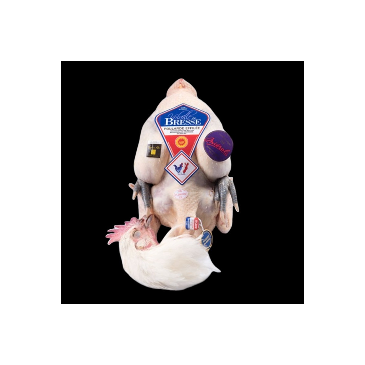 BRESSE AOP ± 2kg
