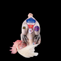 Bresse chicken AOP ±2,5kg