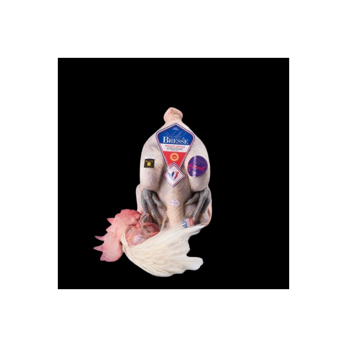 Bresse chicken AOP ±2,5kg