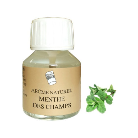 Arôme menthe flacon PET 115ml SELECTAROME - 1