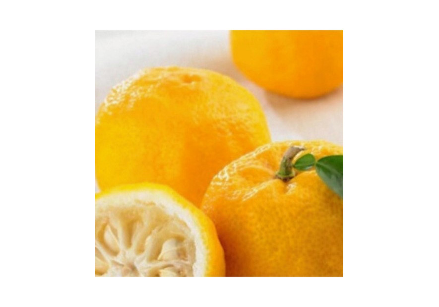 Yuzu è un agrume giapponese