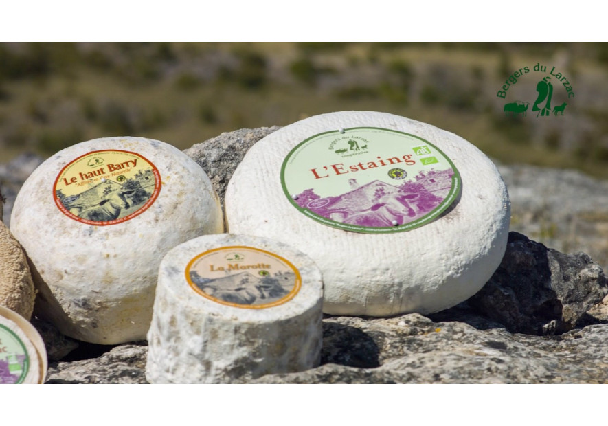 I BERGERS DU LARZAC