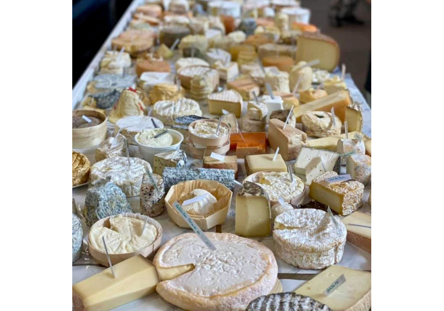 6 vero/falso della conservazione del formaggio